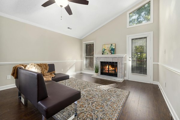 Dératisation en drôme : guide essentiel pour particuliers et professionnels