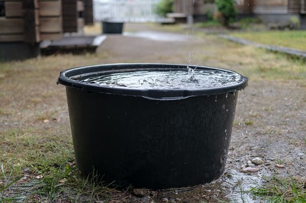 Les bonnes raisons d'installer un récupérateur d'eau de pluie enterré