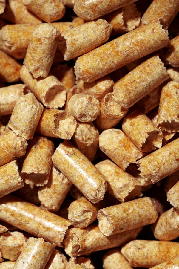 Les prix des pellets en Belgique : Facteurs et tendances
