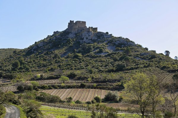 L'art de créer un album photo qui raconte votre histoire