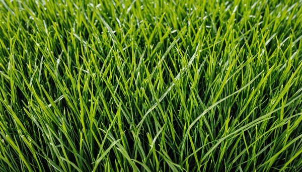 Gazon synthétique : explorer les options pour votre espace vert